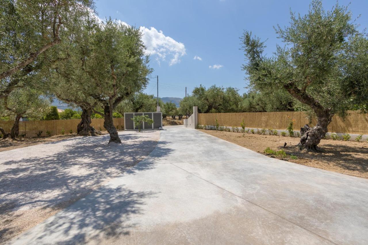 Villa Olivea Kalpaki  Ngoại thất bức ảnh