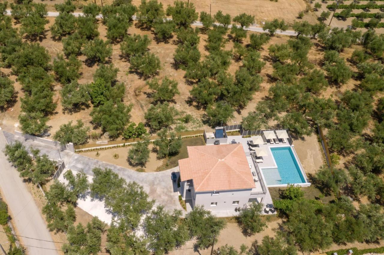 Villa Olivea Kalpaki  Ngoại thất bức ảnh